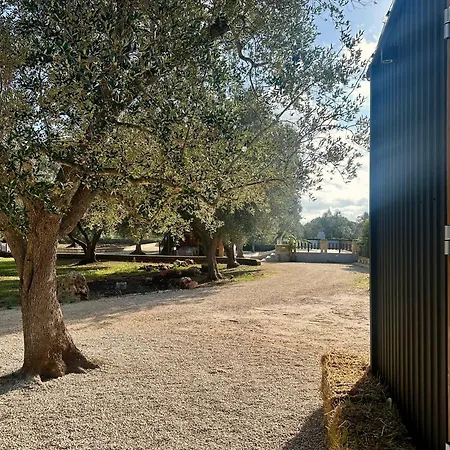 Campagna Colacurto By Tiny Away Σπίτι διακοπών San Vito dei Normanni