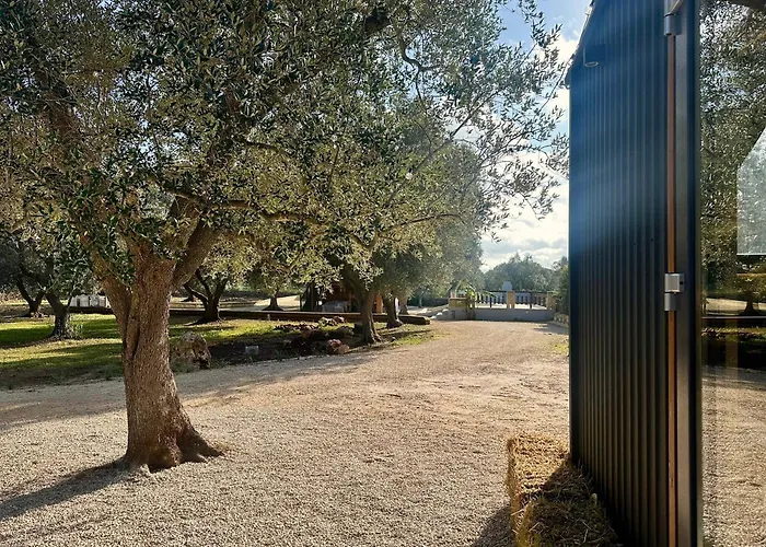 Campagna Colacurto By Tiny Away Dom wakacyjny San Vito dei Normanni